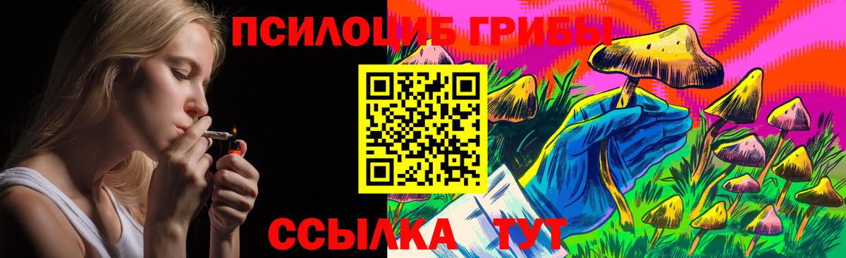 Боровичи  Псилоцибиновые грибы MAGIC MUSHROOMS  Вход с VPN 
