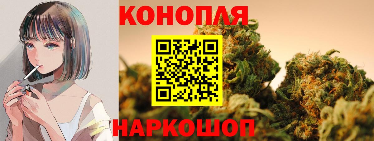 Бошки Шишки гибрид Боровичи